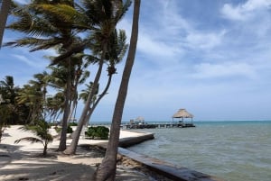 San Pedro: Beach BBQ Excursion with Stay at Cozy Caye …