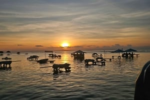 San Pedro: Hol Chan - Shark Ray Alley and Caye Caulker