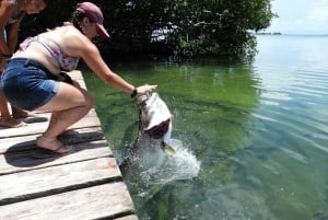 San Pedro: Hol Chan - Shark Ray Alley and Caye Caulker