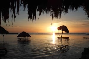 San Pedro: Hol Chan - Shark Ray Alley and Caye Caulker