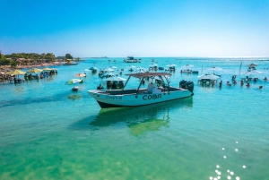 San Pedro: Excursión de snorkel por Hol Chan y el Callejón de las Rayas de Tiburón