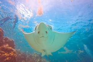Things to do and tours in San Ignacio, Belize