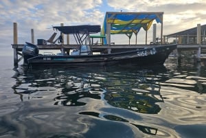 San Pedro: Hol Chan - Shark Ray Alley and Caye Caulker