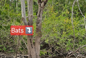 San Pedro: tour guiado por el templo maya de Lamanai y el río