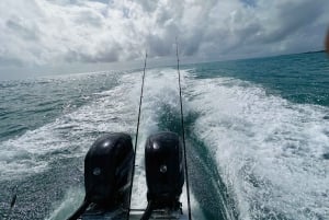 San Pedro: Secret Beach Booze Cruise with Local Guide