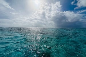 San Pedro: Secret Beach Booze Cruise with Local Guide