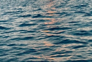 San Pedro: Secret Beach Booze Cruise with Local Guide