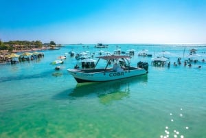 San Pedro: Secret Beach Booze Cruise with Local Guide