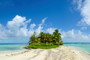 San Pedro Sula: Belize Cays Private Full-Day Caribbean Tour