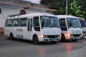 Shuttle From Belize City to Flores / Tourist Service