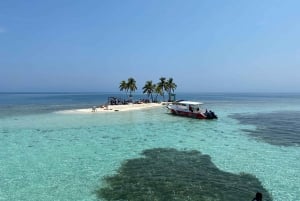 Snorkel with rays, sharks and turtles at a tropical isle