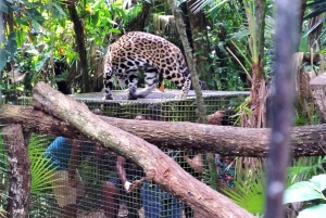 The Belize Zoo Wildlife Adventure & City Tour