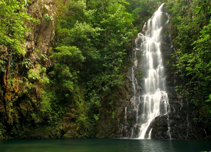 Thousand Foot Falls: A Majestic Waterfall