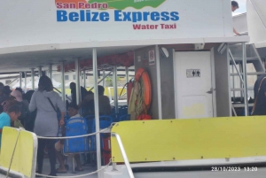 Tikal: Transfer from Tikal Guatemala to Caye Caulker Belize Bus + Ferry