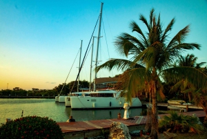 Welcome to the luxurious 'Gingembre' catamaran.