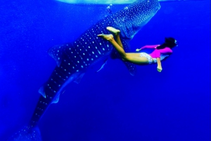 Experience Belize main attraction and activities