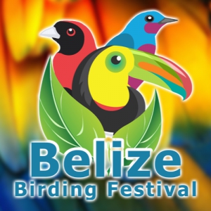 Belize Birding Festival