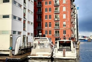 2-dages privat tur med Flåm-tog, Hardagerfjord og krydstogt