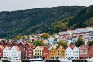 2-dages privat tur med Flåm-tog, Hardagerfjord og krydstogt