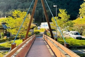 2-dages privat tur med Flåm-tog, Hardagerfjord og krydstogt