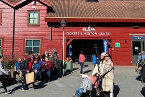 2-dages privat tur med Flåm-tog, Hardagerfjord og krydstogt