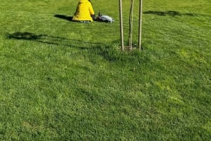 2-dages privat tur med Flåm-tog, Hardagerfjord og krydstogt