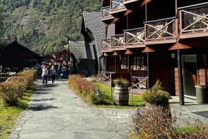 2-dages privat tur med Flåm-tog, Hardagerfjord og krydstogt