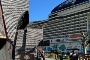 2-dages privat tur med Flåm-tog, Hardagerfjord og krydstogt