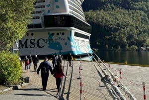 2-dages privat tur med Flåm-tog, Hardagerfjord og krydstogt