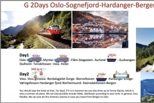 2-daagse tour Hardanger Bike Vøringsfossen en Flåm Næroyfjord