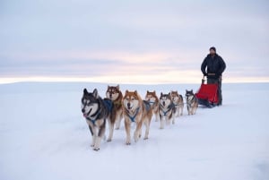 3 päivää Bergen–Hardanger–Flåm–Næroyfjord–Oslo (tai Preikstolen)
