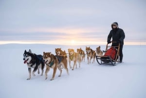 3 päivää Bergen–Hardanger–Flåm–Næroyfjord–Oslo (tai Preikstolen)