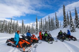 3 päivää Bergen–Hardanger–Flåm–Næroyfjord–Oslo (tai Preikstolen)