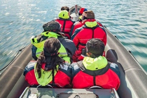 Balestrand: passeio de barco pelo fiorde escondido de Finnabotn