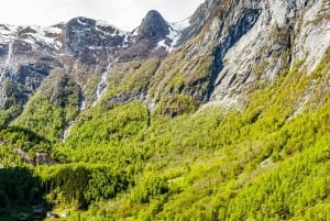 Balestrand: Fjord Sightseeing by Fast Boat