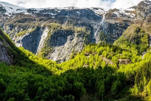 Balestrand: Fjord Sightseeing by Fast Boat