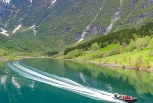 Balestrand: Fjord Sightseeing by Fast Boat