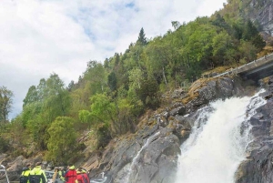 Balestrand: Fjord Sightseeing by Fast Boat