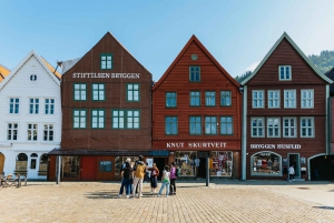 Bergen: Fortid og nutid guidet tur med en lille gruppe