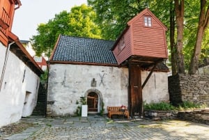 Bergen: Fortid og nutid guidet tur med en lille gruppe