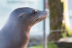 Bergen: Ticket de entrada al Acuario de Bergen