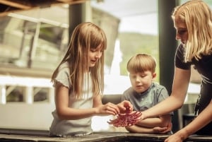 Bergen: Ticket de entrada al Acuario de Bergen