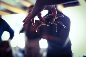 Bergen: Ticket de entrada al Acuario de Bergen