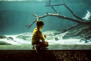 Bergen: Ticket de entrada al Acuario de Bergen