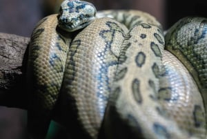 Bergen: Ticket de entrada al Acuario de Bergen