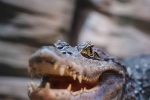 Bergen: Ticket de entrada al Acuario de Bergen