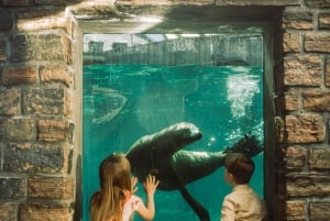 Bergen: Ticket de entrada al Acuario de Bergen