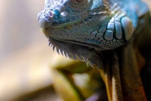 Bergen: Ticket de entrada al Acuario de Bergen