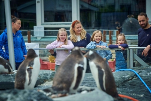 Bergen: Ticket de entrada al Acuario de Bergen