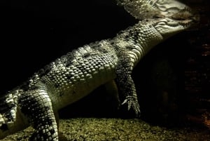 Bergen: Ticket de entrada al Acuario de Bergen